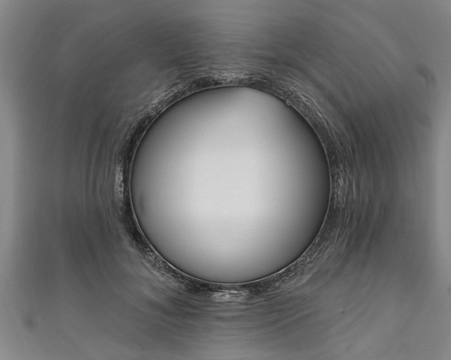 X0000111170700200907081215