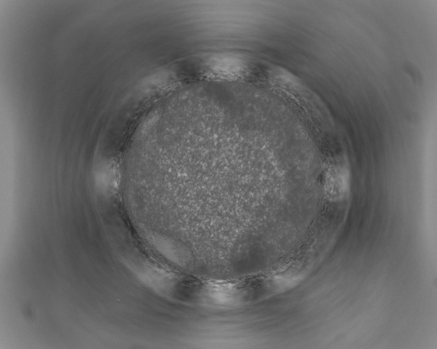 X0000111170701200907081215