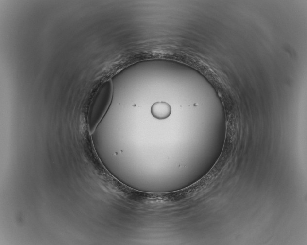 X0000111170704200907081215