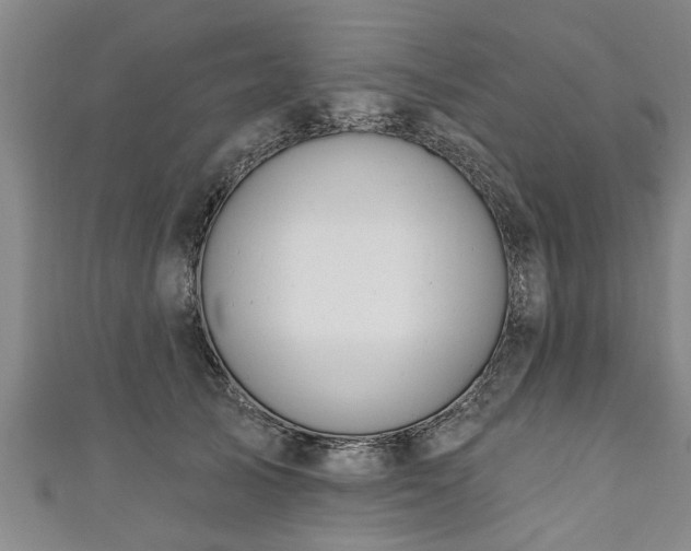 X0000111170705200907081215