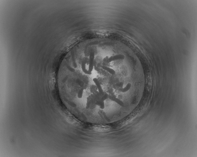 X0000111170707200907081215