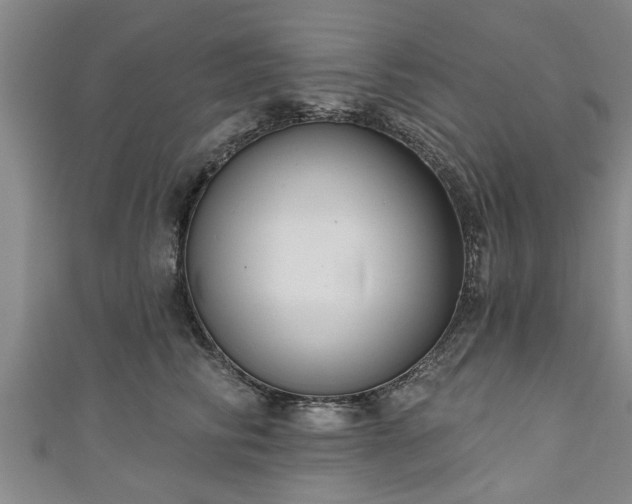 X0000111170710200907081215