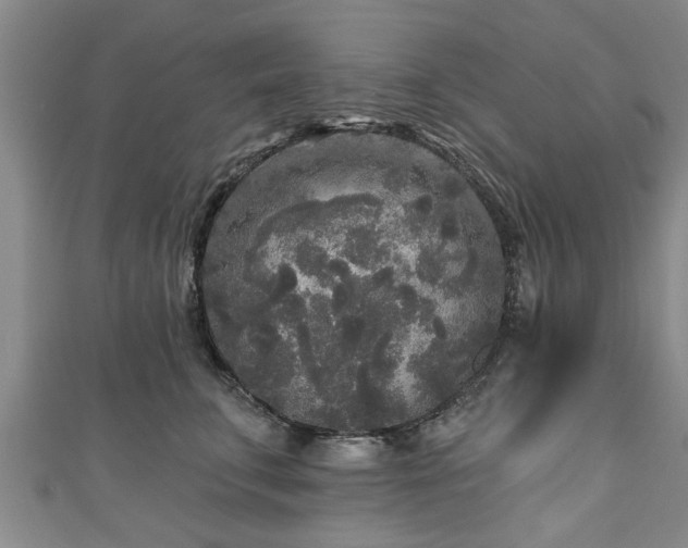 X0000111170711200907081215