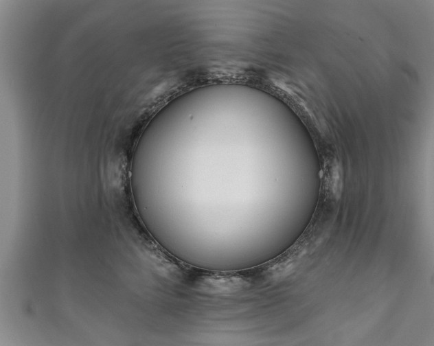 X0000111170712200907081215