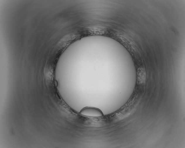 X0000111170713200907081215