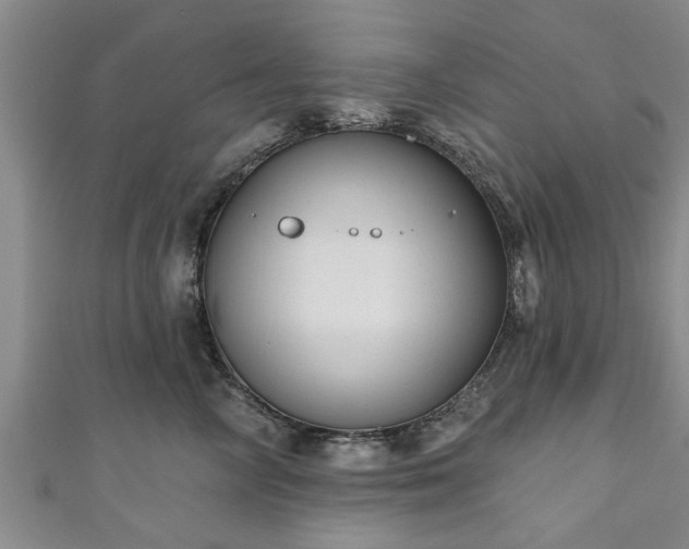 X0000111170714200907081214