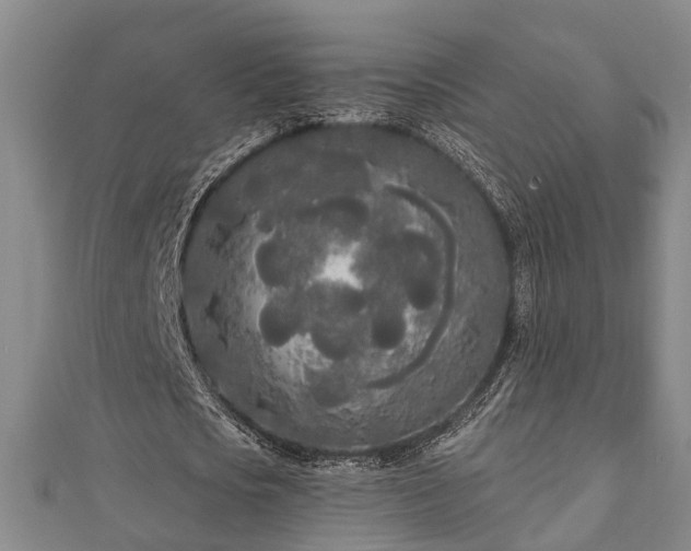 X0000111170721200907081214