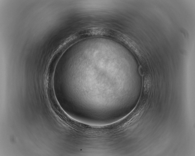 X0000111170722200907081214