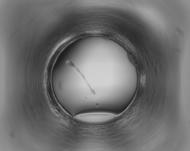 X0000111170724200907081214