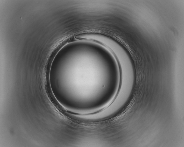 X0000111170725200907081214