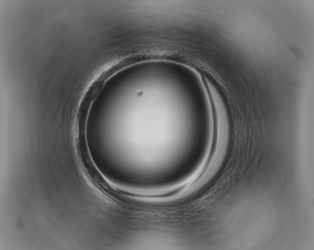 X0000111170726200907081214