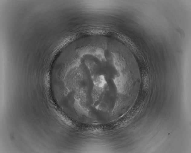 X0000111170729200907081214