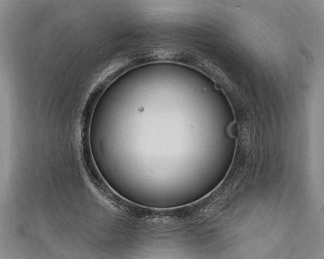 X0000111170730200907081214