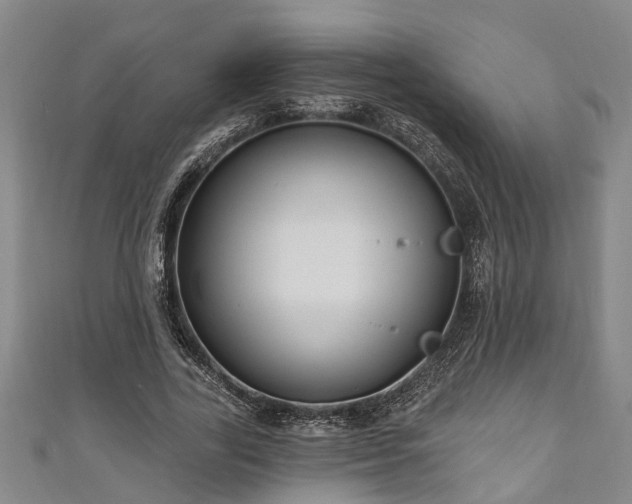 X0000111170731200907081214