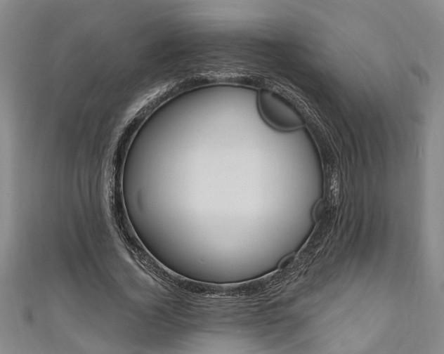 X0000111170732200907081214