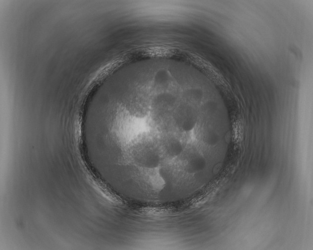 X0000111170733200907081214