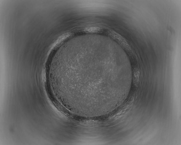 X0000111170734200907081214