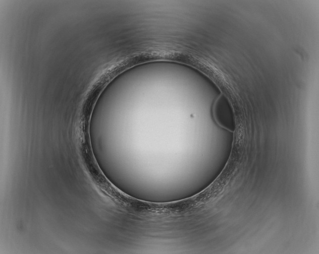 X0000111170736200907081214