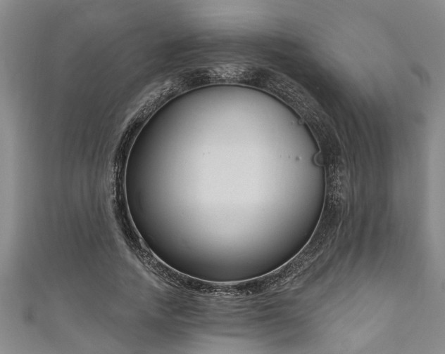 X0000111170738200907081214