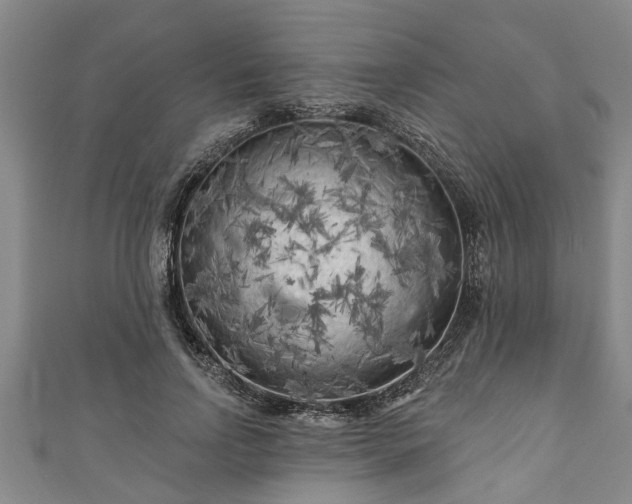 X0000111170742200907081214