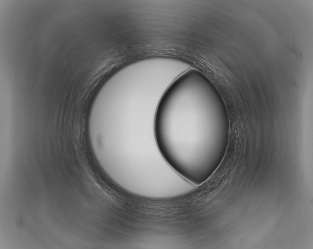 X0000111170744200907081214