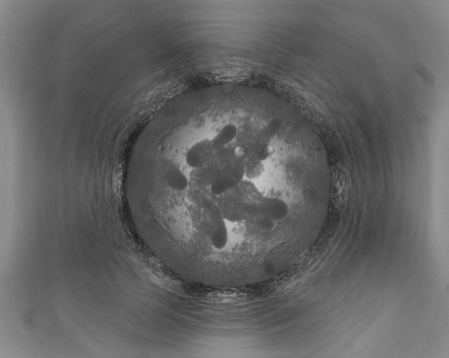 X0000111170745200907081214