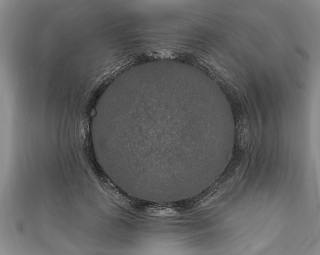 X0000111170747200907081214