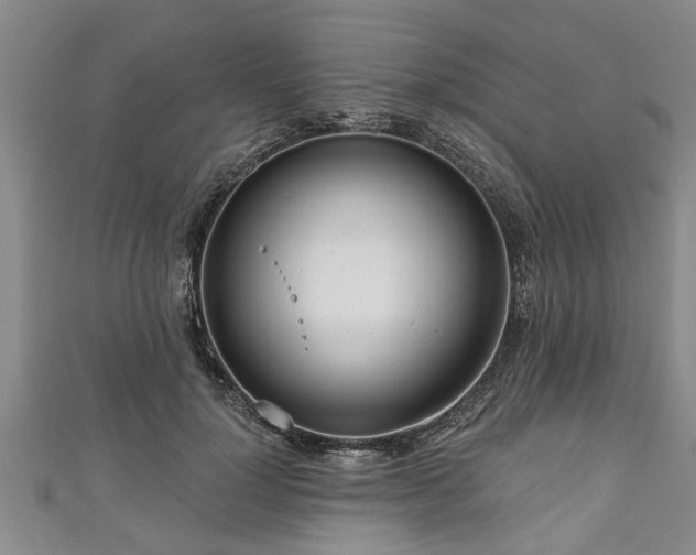 X0000111170748200907081214