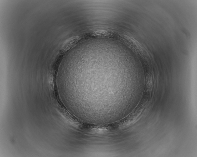 X0000111170749200907081214