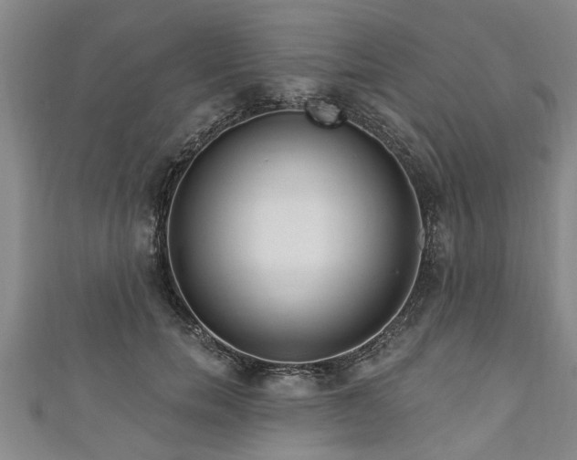 X0000111170750200907081214