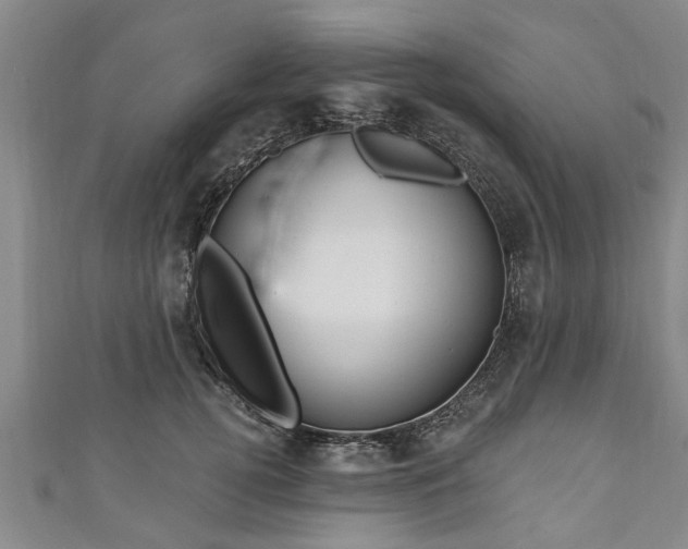 X0000111170752200907081214