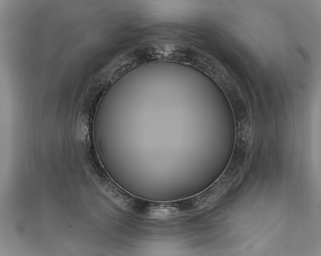 X0000111170754200907081214