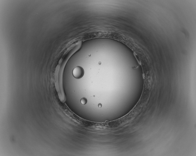 X0000111170756200907081214