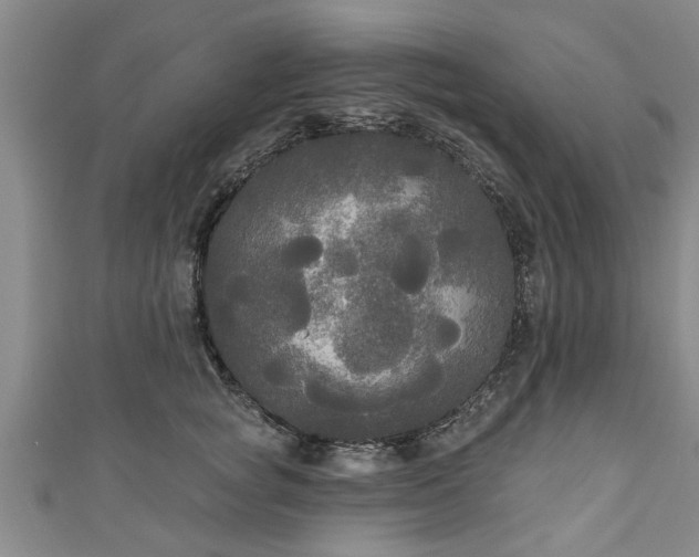 X0000111170757200907081214