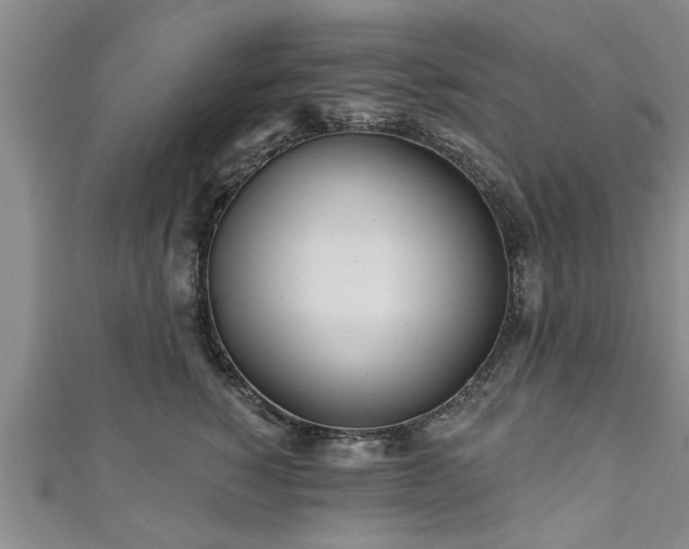 X0000111170760200907081214