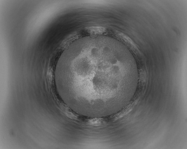 X0000111170761200907081214