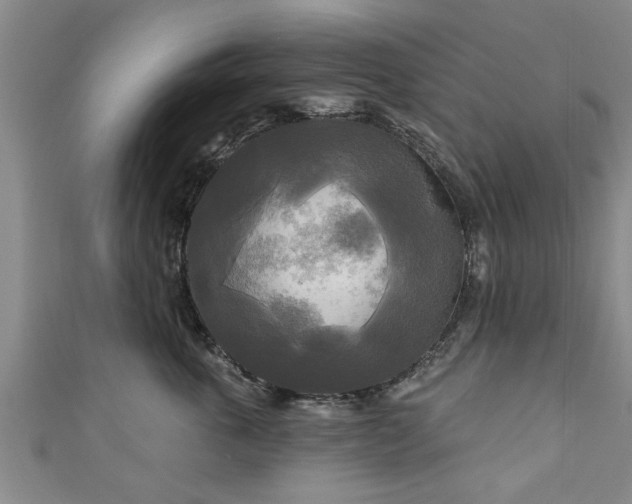 X0000111170763200907081214