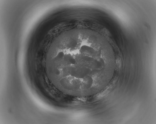 X0000111170765200907081214