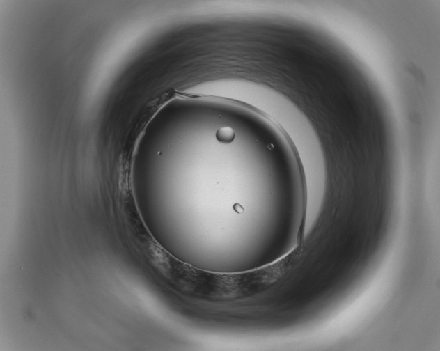 X0000111170766200907081214