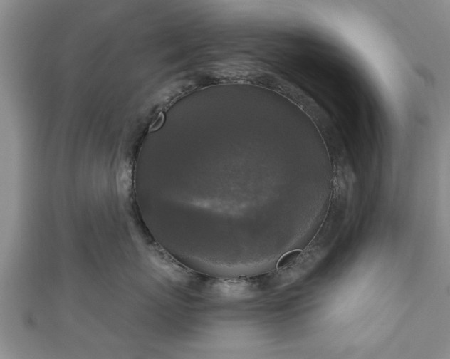 X0000111170767200907081214