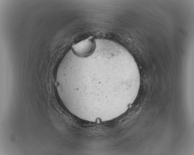 X0000111170769200907081214