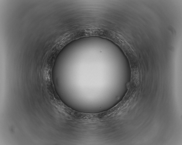 X0000111170770200907081214