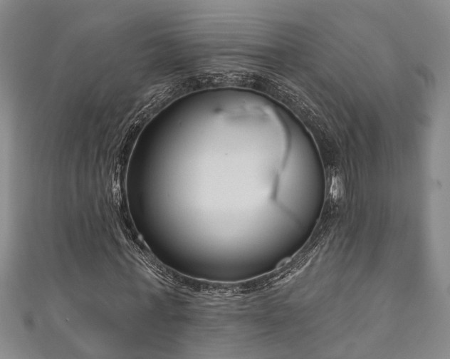 X0000111170771200907081214