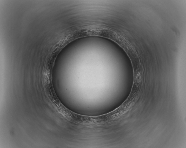 X0000111170772200907081214