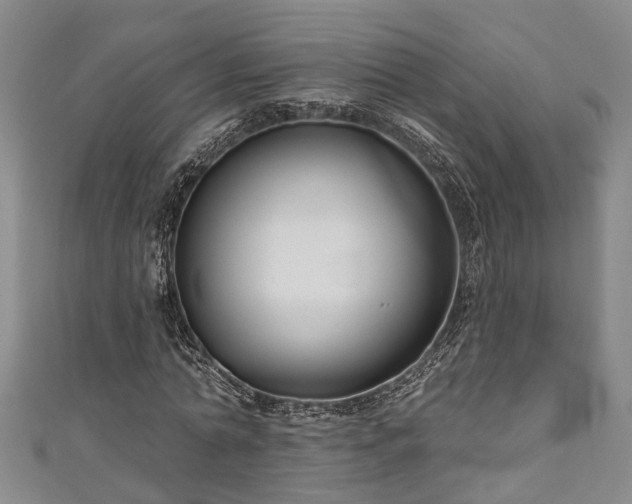 X0000111170774200907081214