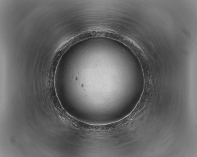 X0000111170775200907081214