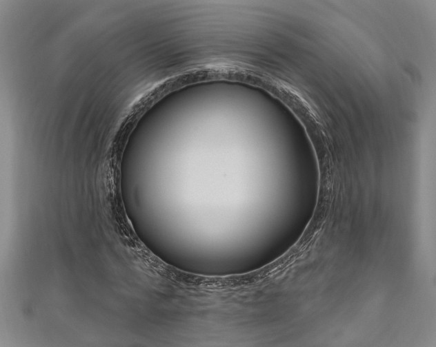 X0000111170776200907081214