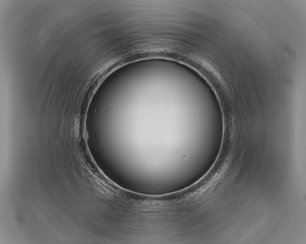 X0000111170777200907081214