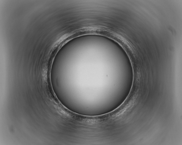 X0000111170778200907081214