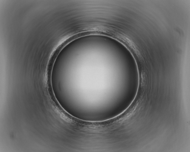 X0000111170780200907081214